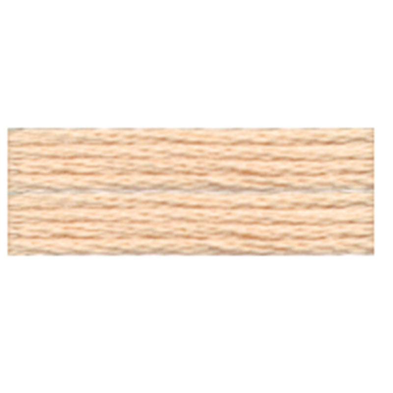 Cosmo Embroidery Floss - 423