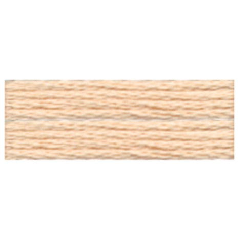 Cosmo Embroidery Floss - 423