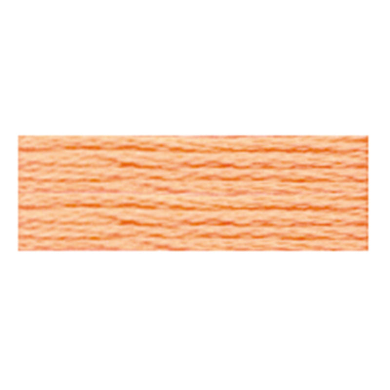 Cosmo Embroidery Floss - 441