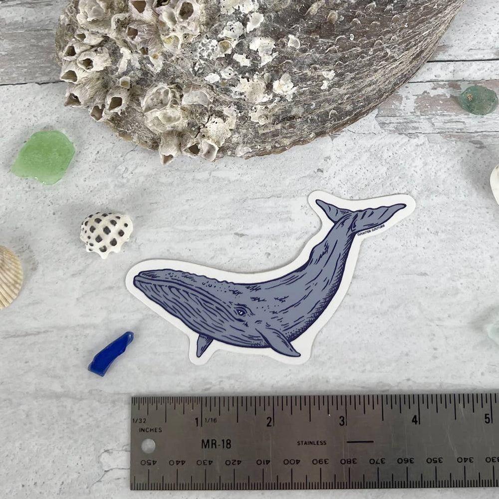 
                      
                        Blue Whale Sticker
                      
                    