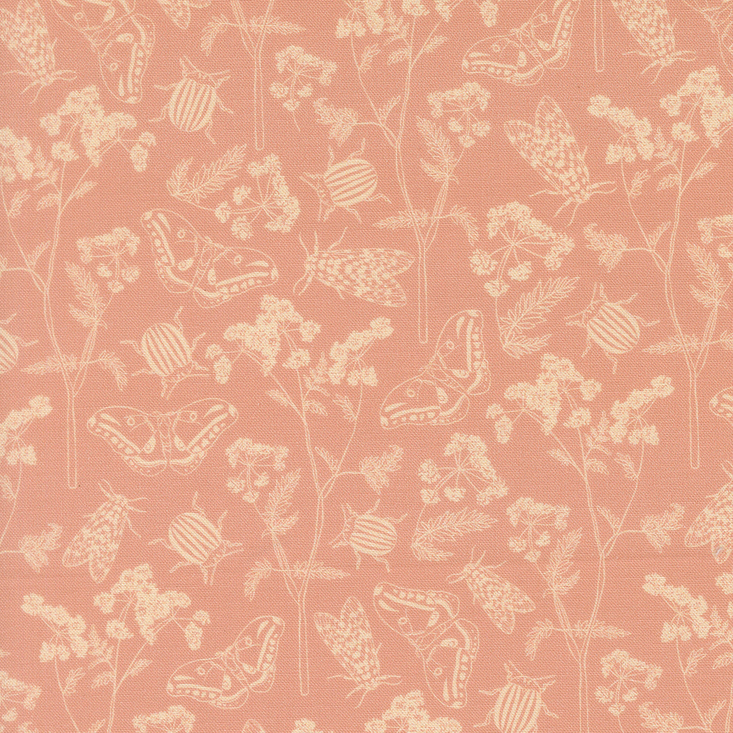 Petalush - Herb Garden - Velvet 26164 14