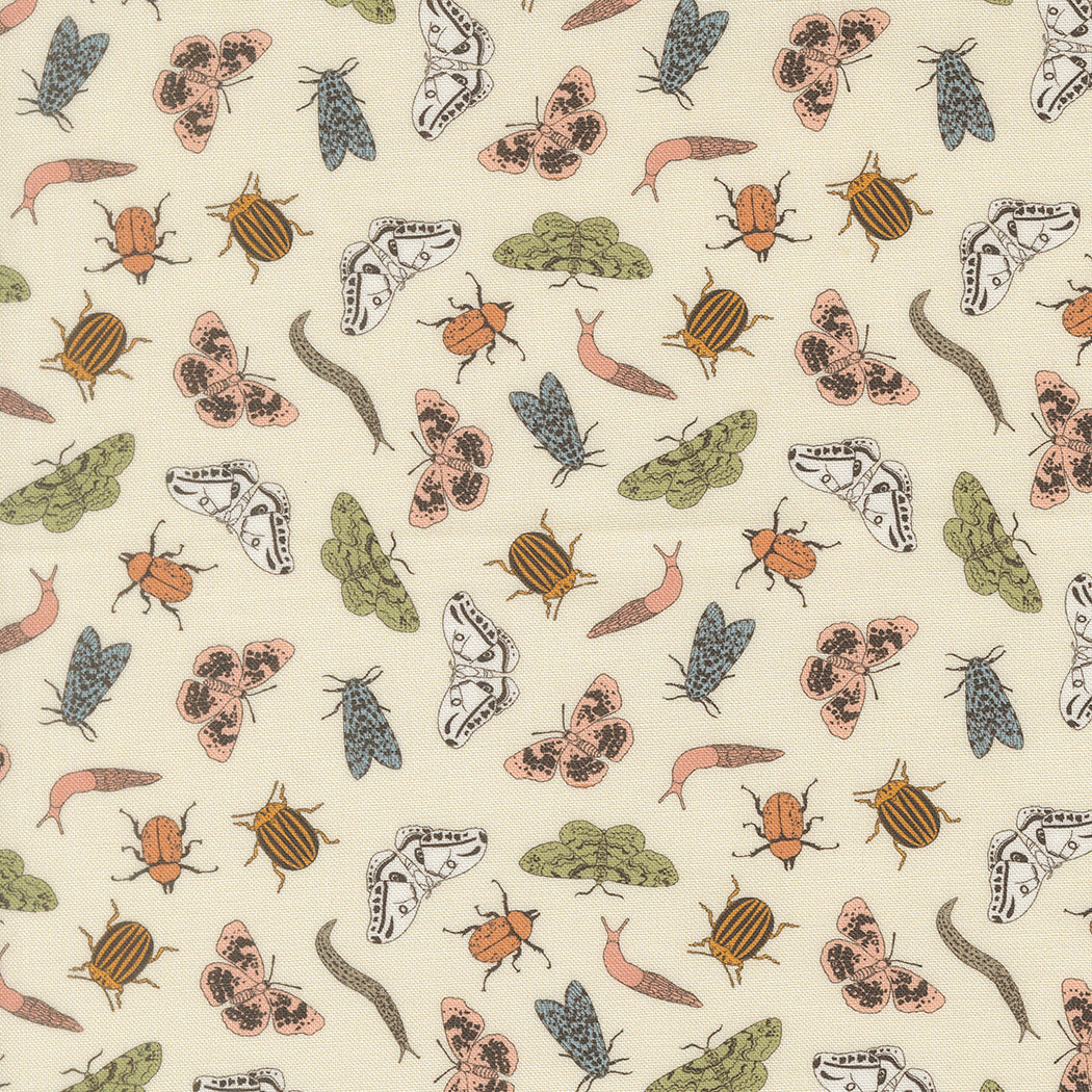 Petalush - Entomology - Lush 26165 11
