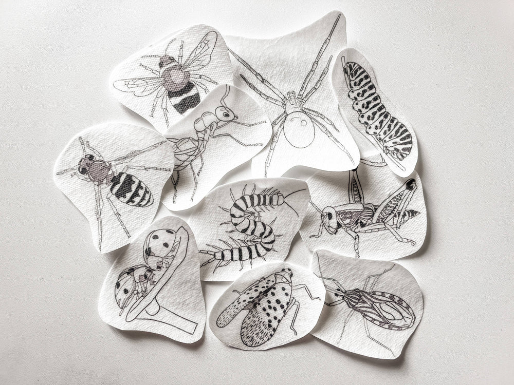 Insect Stick & Stitch Embroidery Transfers