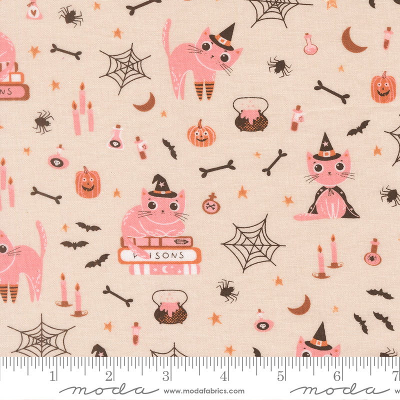 Purrs and Boos - Cats - Moonbeam 39060 11