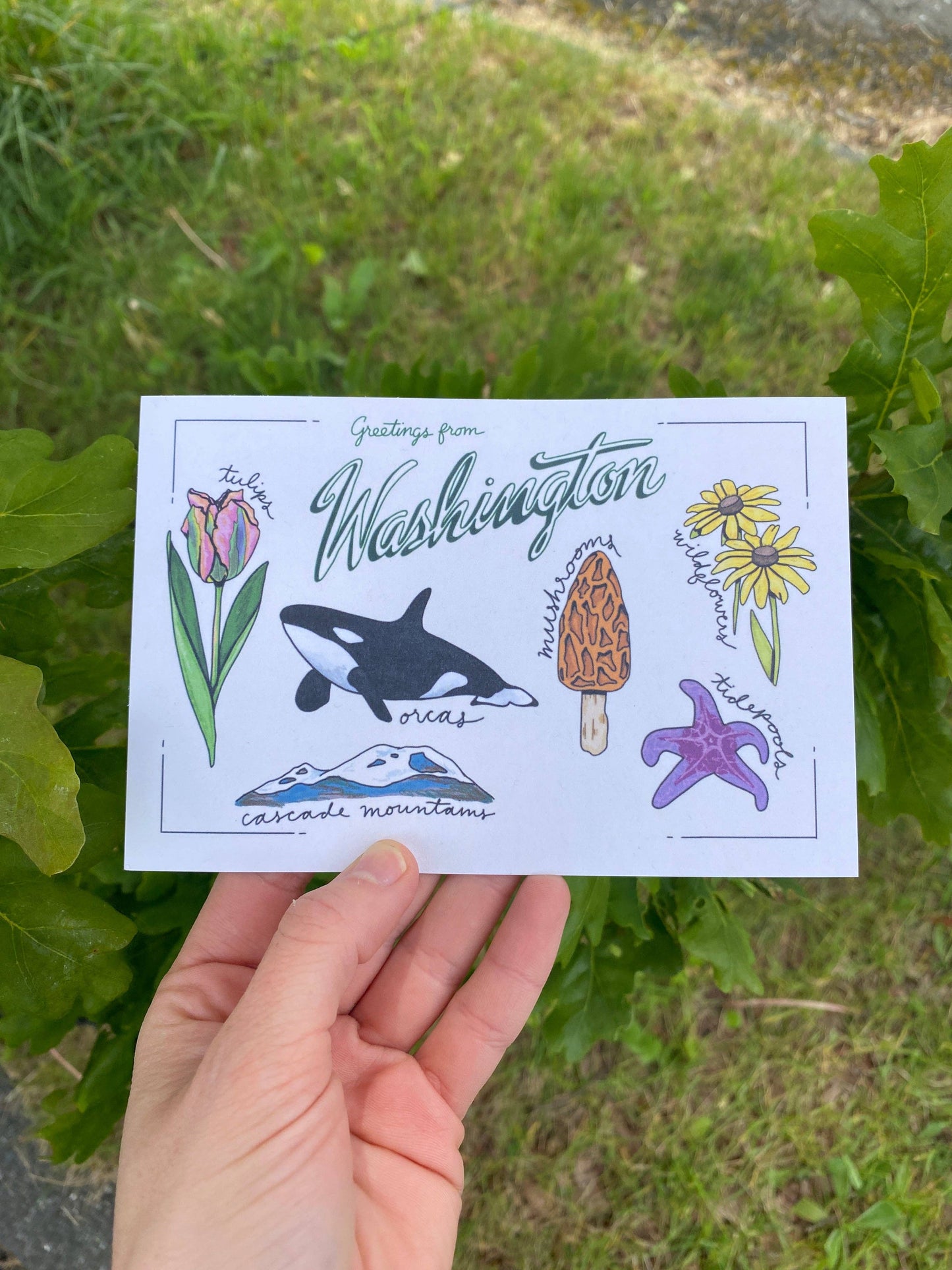 Washington State Postcard | 4" x 6"