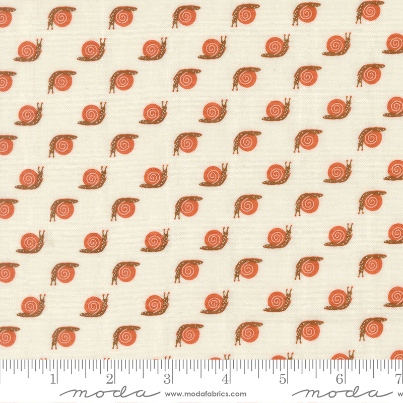 Night Owl - Snail - Cloud