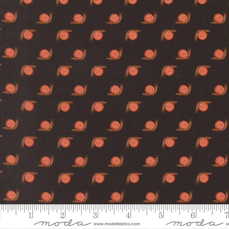 Night Owl - Snail - Midnight