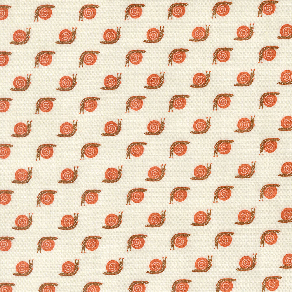 Night Owl - Snail - Cloud