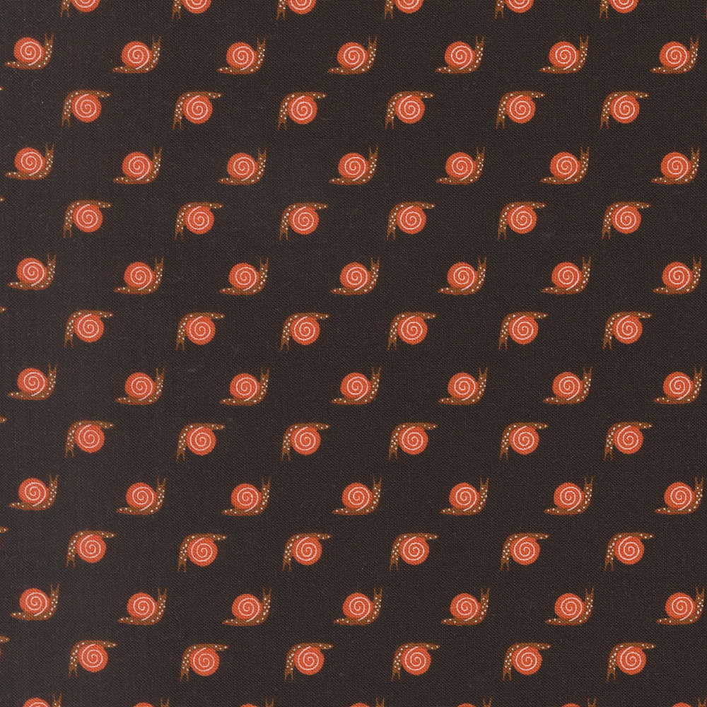 Night Owl - Snail - Midnight