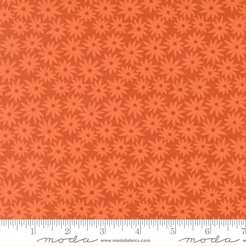 Scenery - Sedum - Yam 51270 13