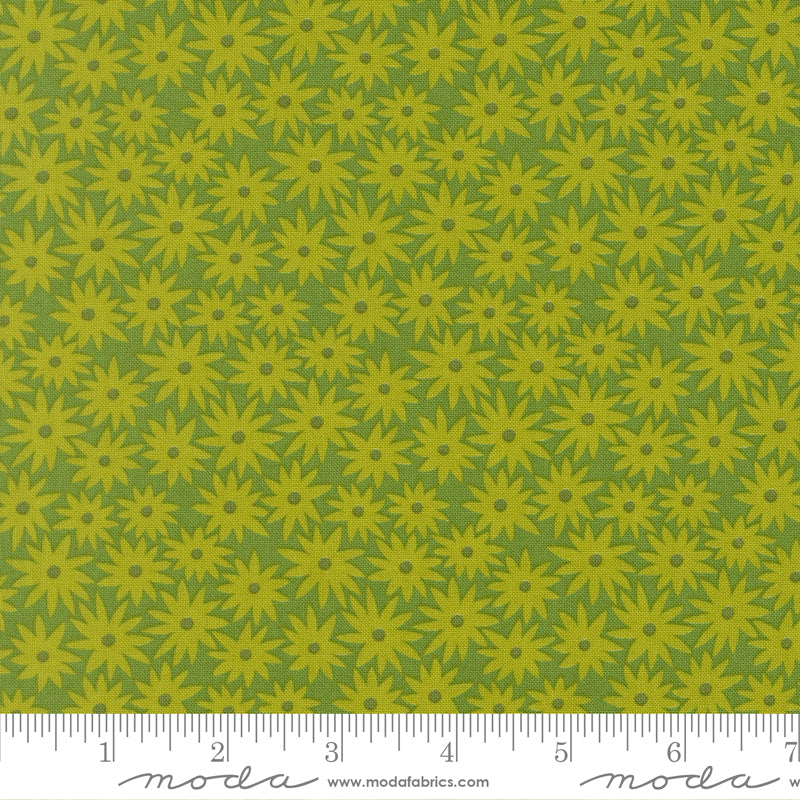 Scenery - Sedum - Limeade 51270 14