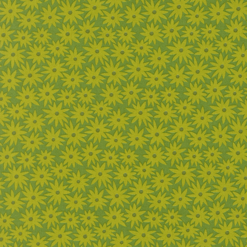 Scenery - Sedum - Limeade 51270 14