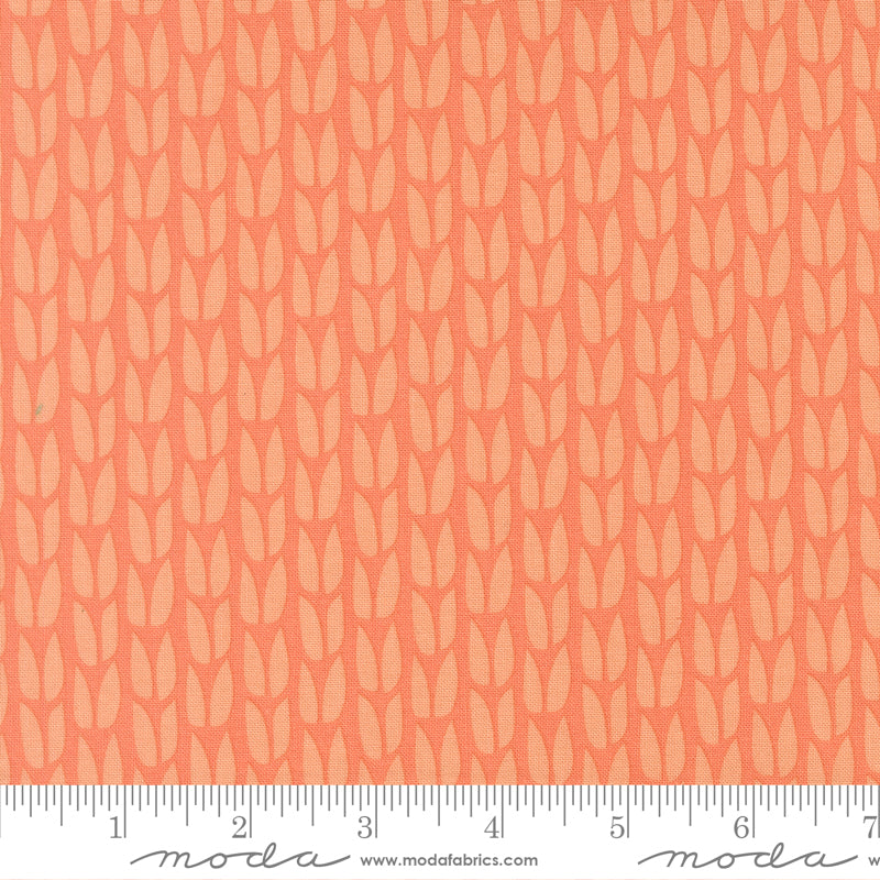 Scenery - Sprout - Coral 51272 19