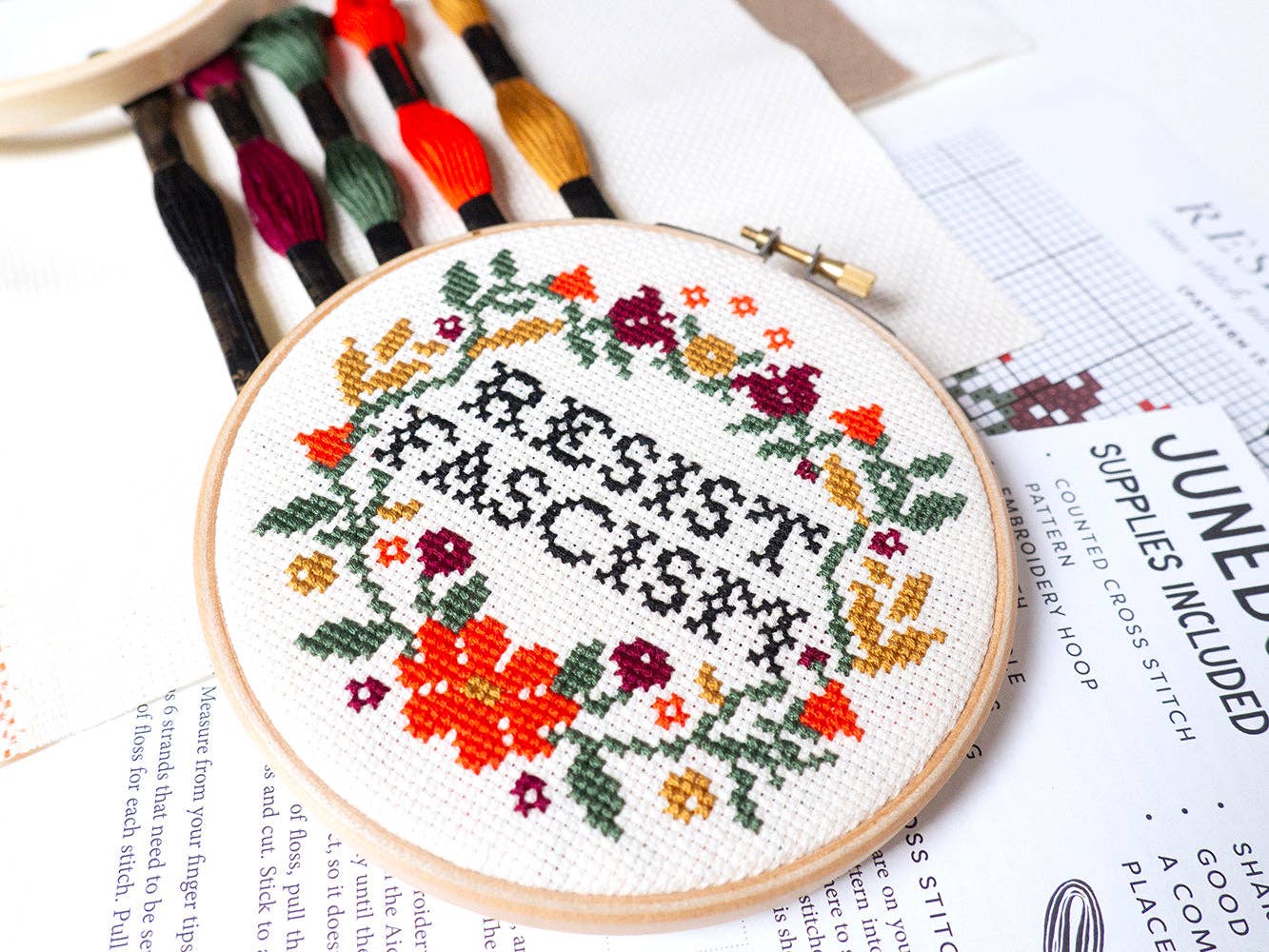 Resist Fascism Cross Stitch Kit