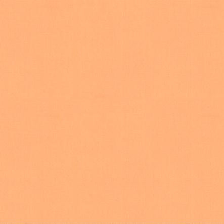 Bella Solids - Apricot (479)