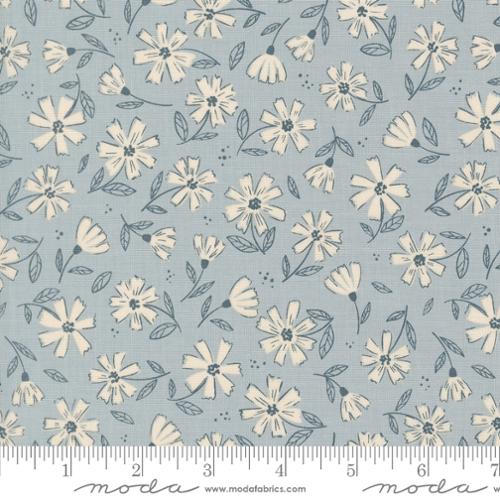 Nature's Sketchbook - Flowers - Sky 39074 20