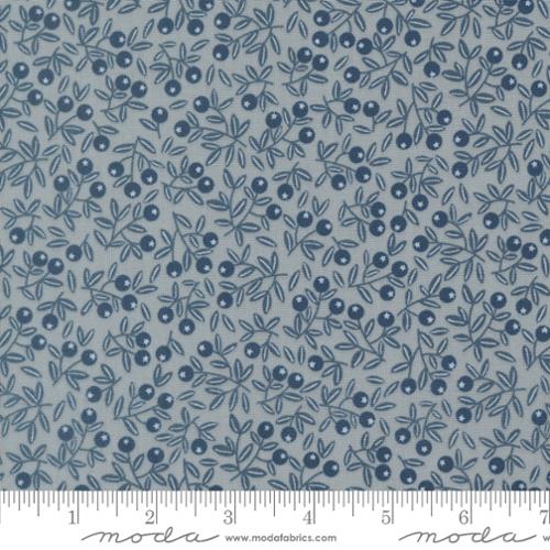 Nature's Sketchbook - Blueberry - Pebbley Sky 39076 19