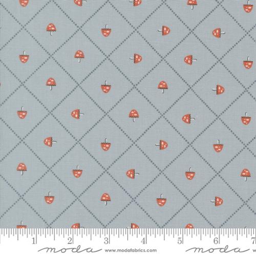 Nature's Sketchbook - Mushroom and Grid - Sky 39077 20