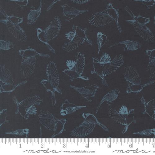 Feather and Forest Bloom - Flock of Feathers - Midnight 14143 19