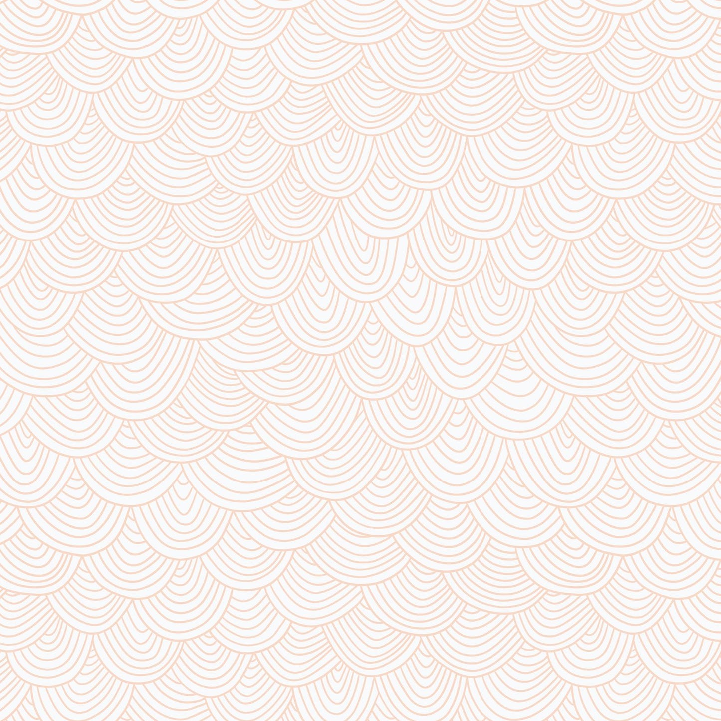 Wildest Dreams - Vanilla Scallop