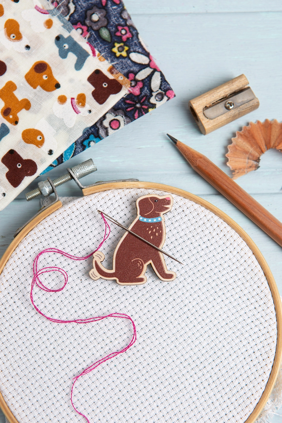 Dog Magnetic Needle Minder