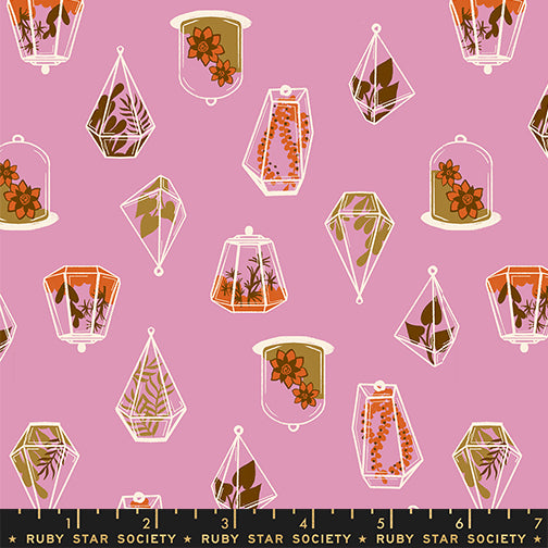 Calathea - Terrarium - Kiss RS5183 12