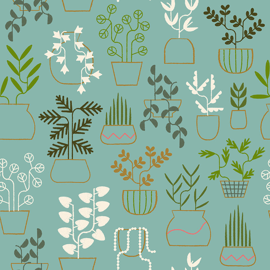 Calathea - Plant Life - Water RS5184 14