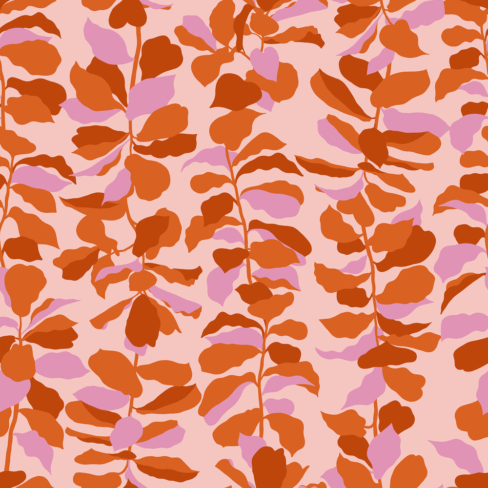 Calathea - Fiddle Leaf - Cayenne