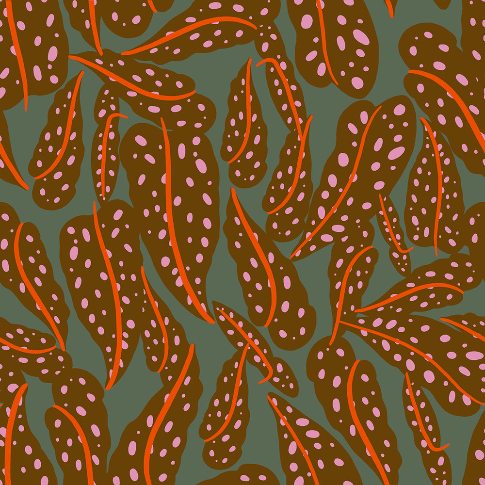 Calathea - Overlapping Leaves - Cocoa