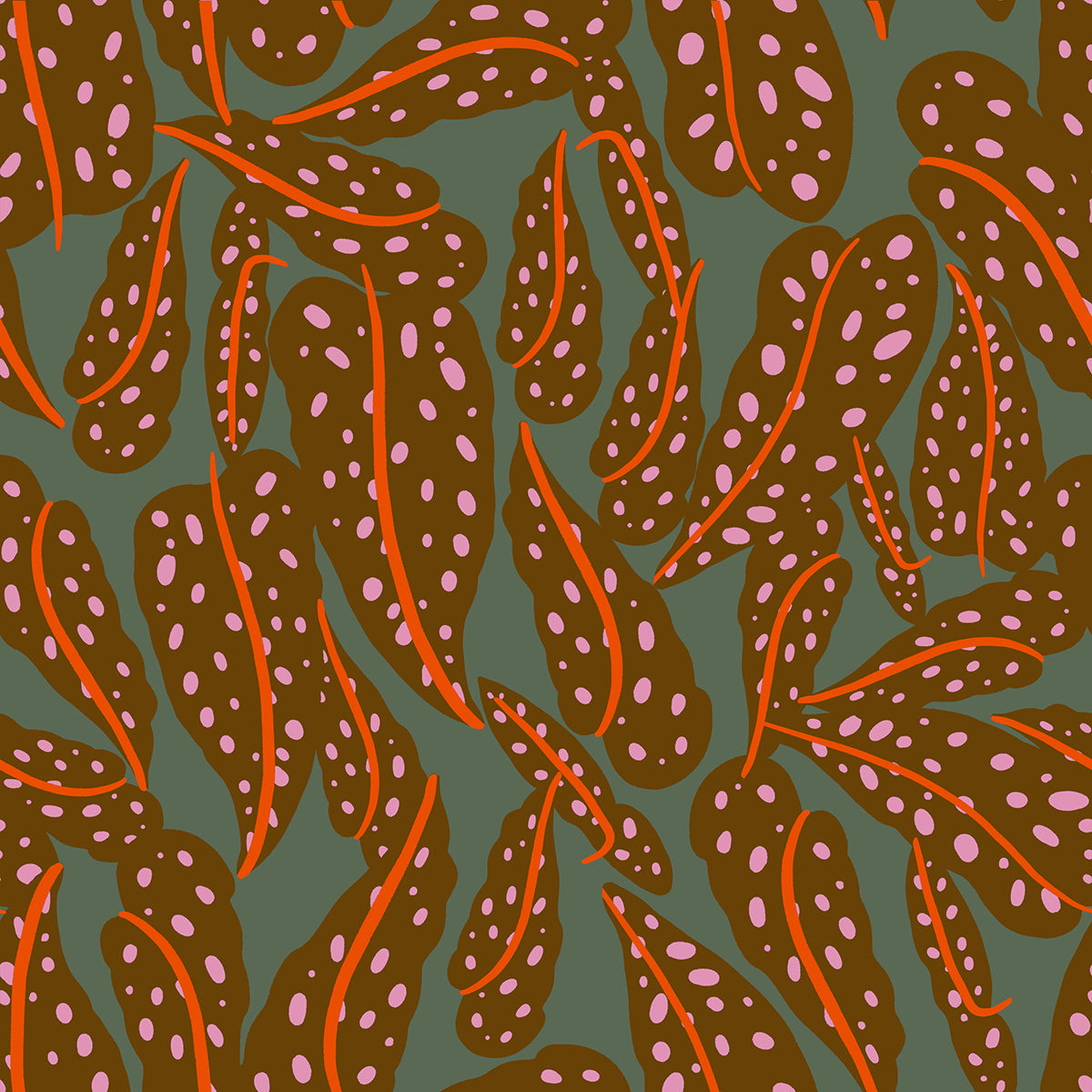 Calathea - Overlapping Leaves - Cocoa RS5187 12