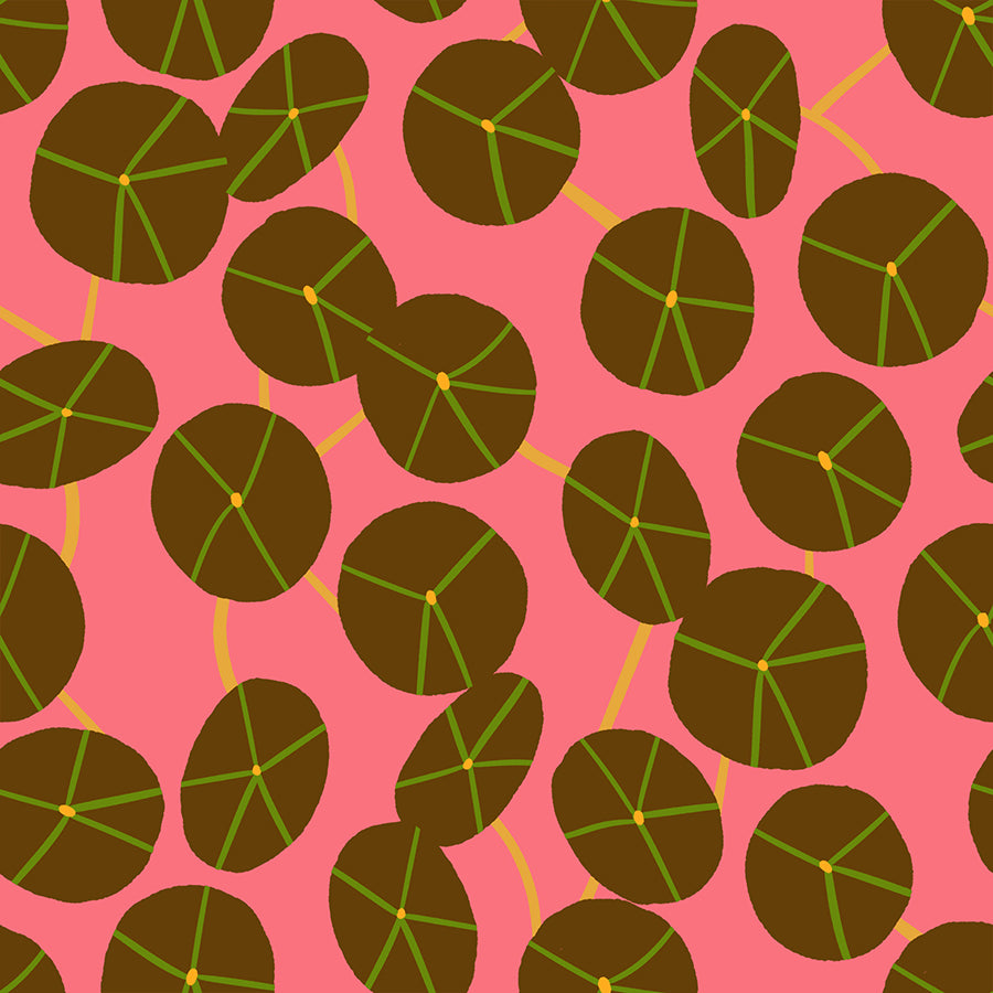 Calathea - Pilea - Strawberry