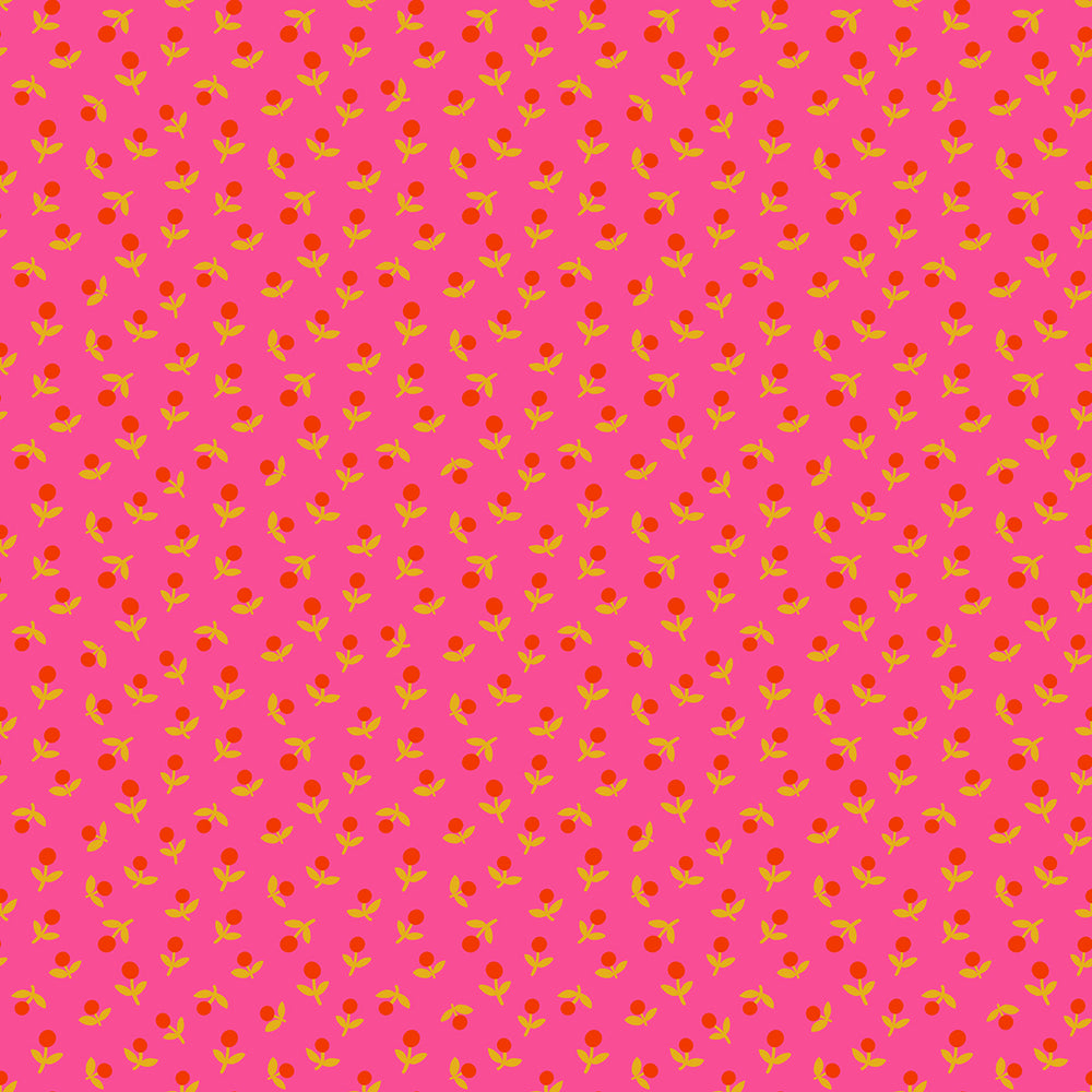 Catnap – Sprout – Playful