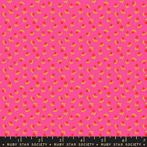 Catnap – Sprout – Playful