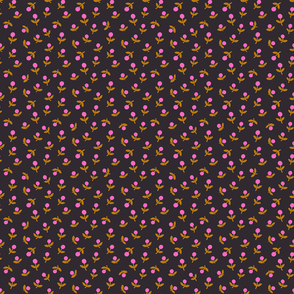 Catnap – Sprout – Black