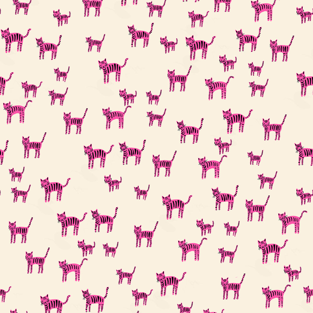 Catnap – Tiger Stripes – Playful