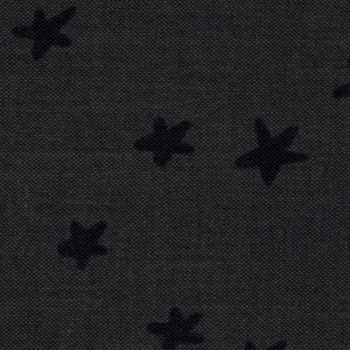 Starry - Charcoal