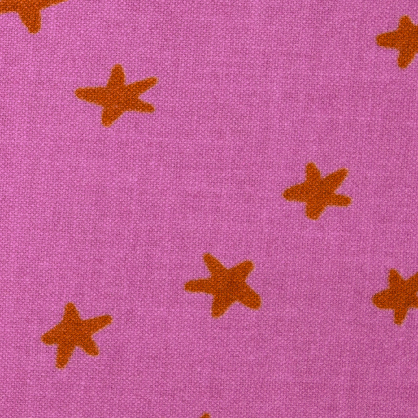 Starry - Heliotrope
