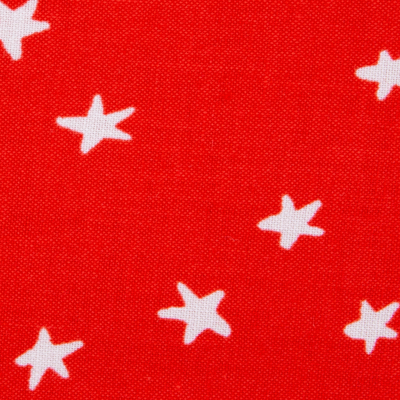 Starry - Ladybug