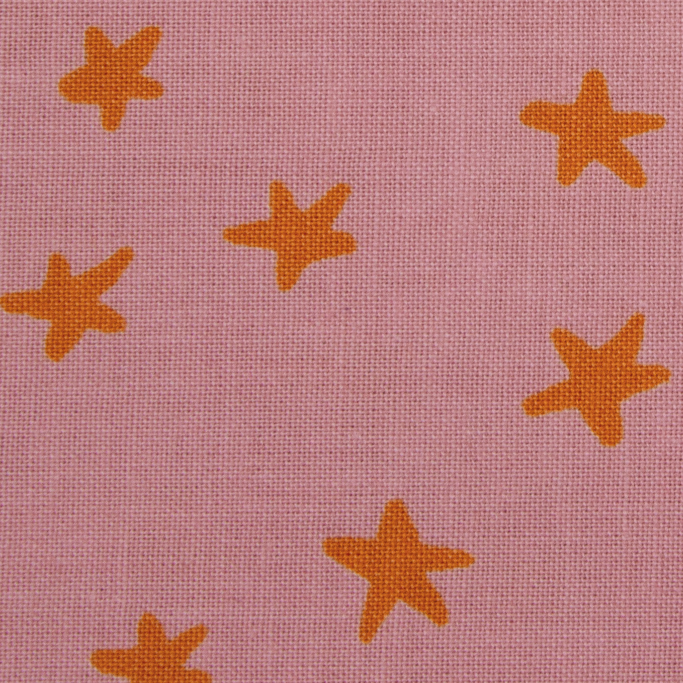 Starry 2025 - Rosebud