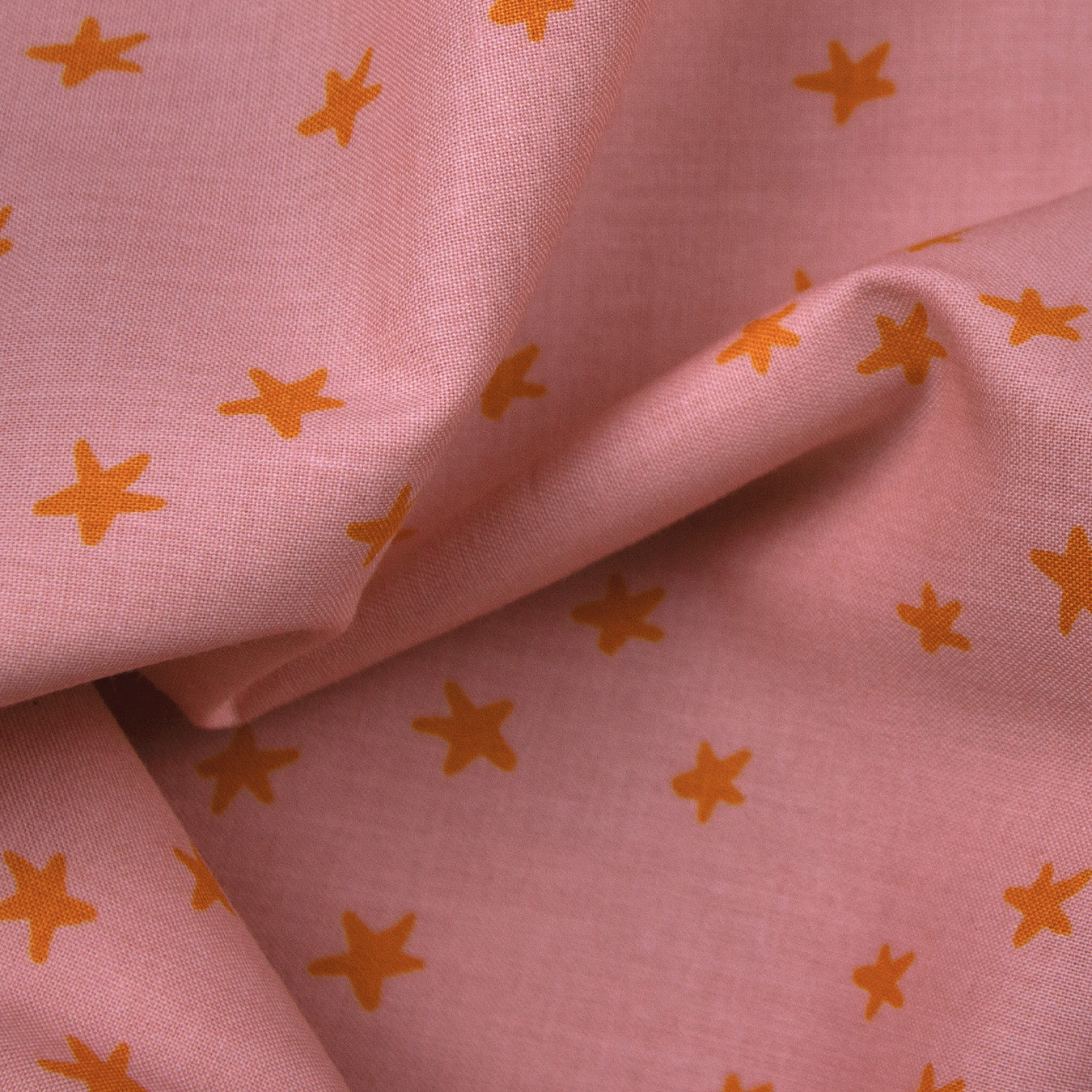 Starry 2025 - Rosebud