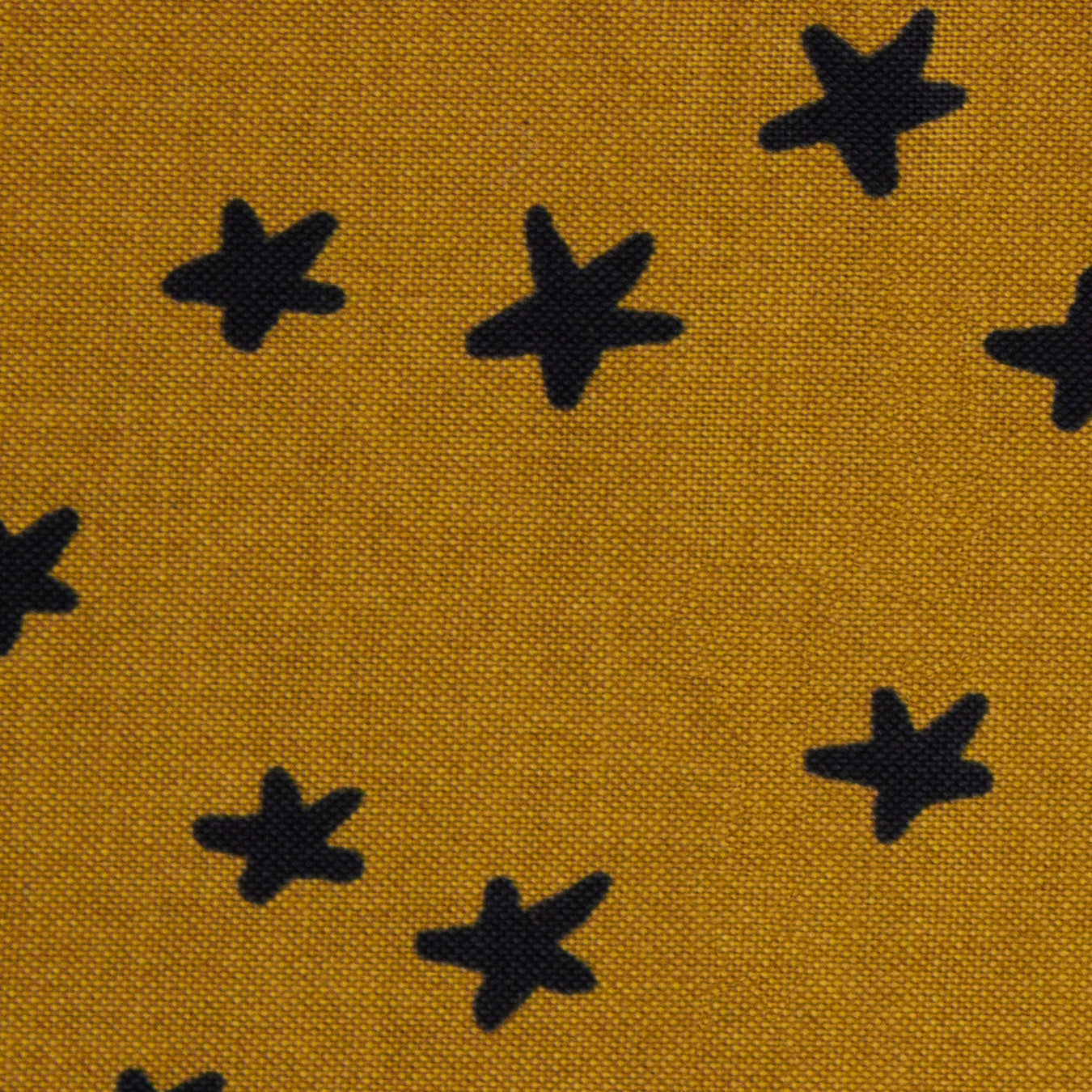 Starry - Suede