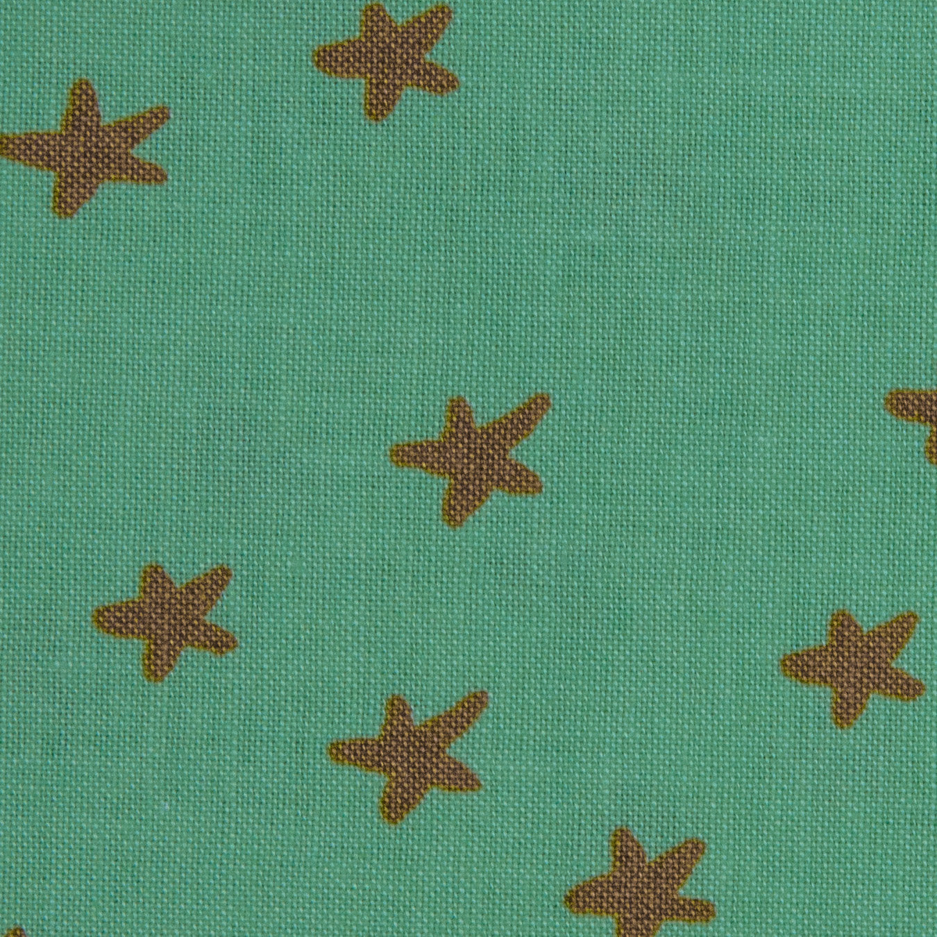 Starry - Moss