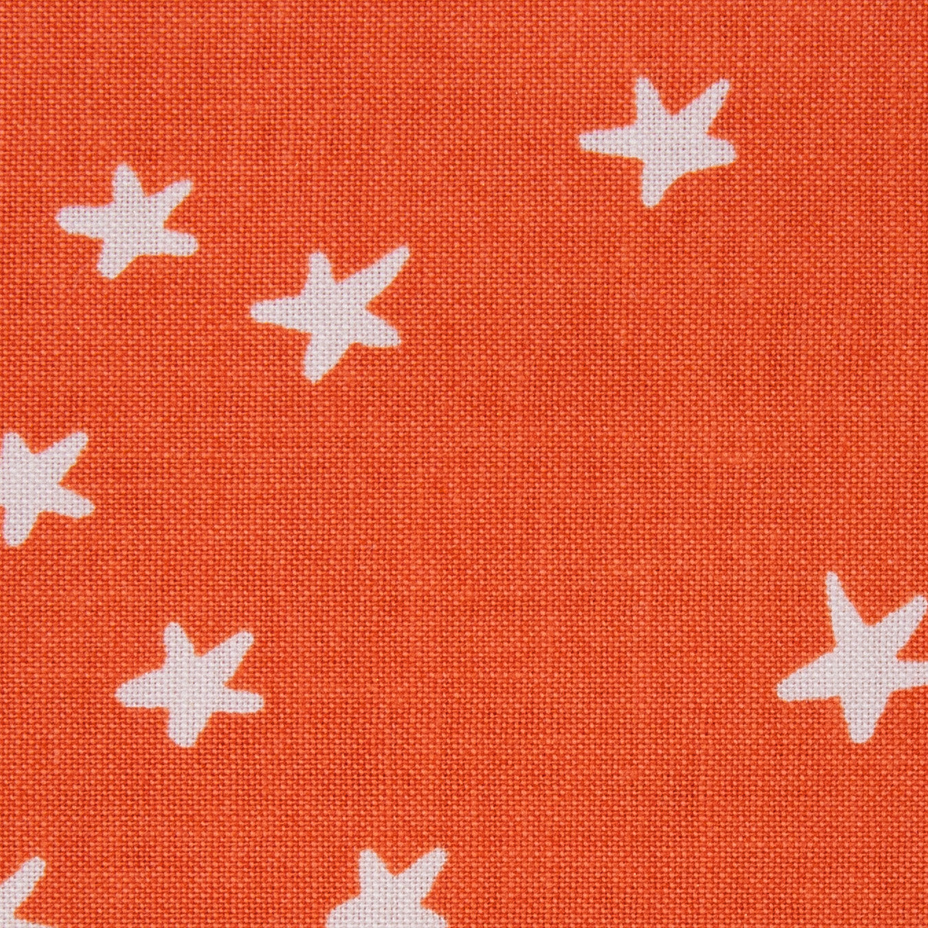 Starry - Nutmeg