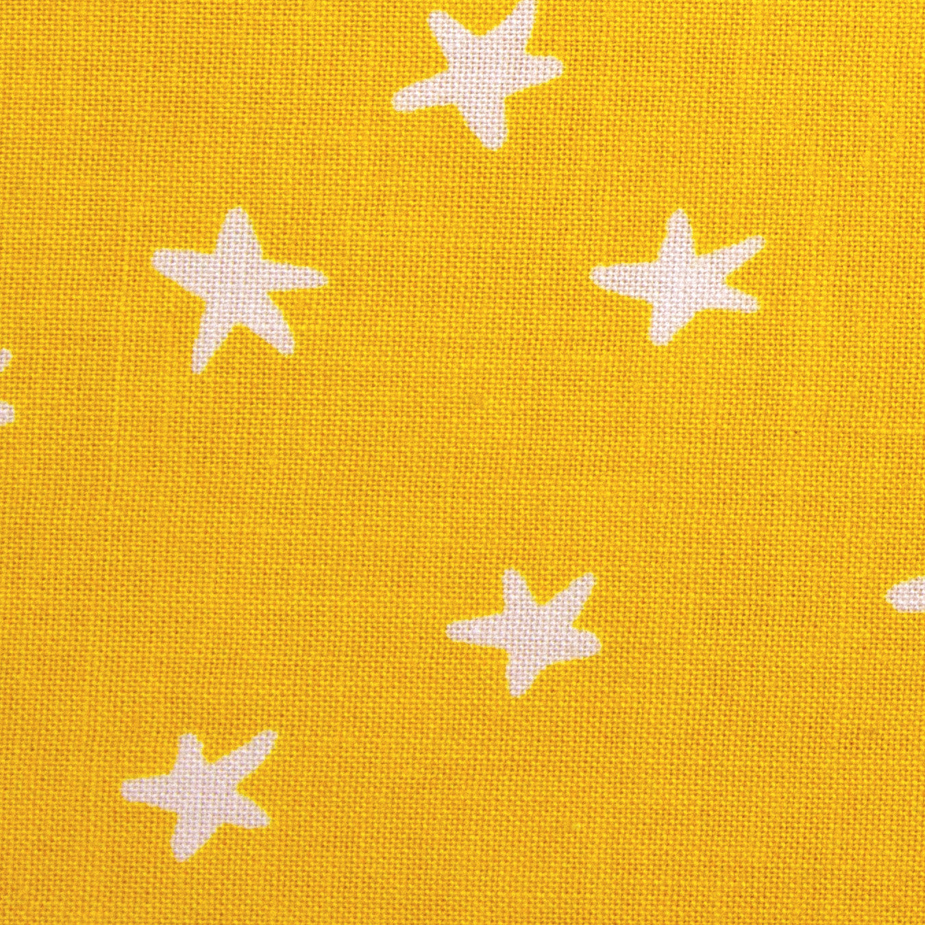 Starry - Sunshine