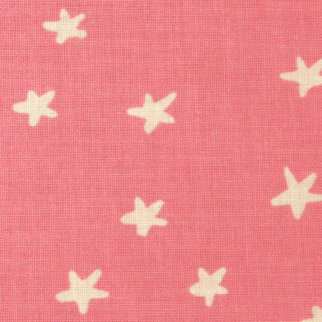 Starry - Watermelon