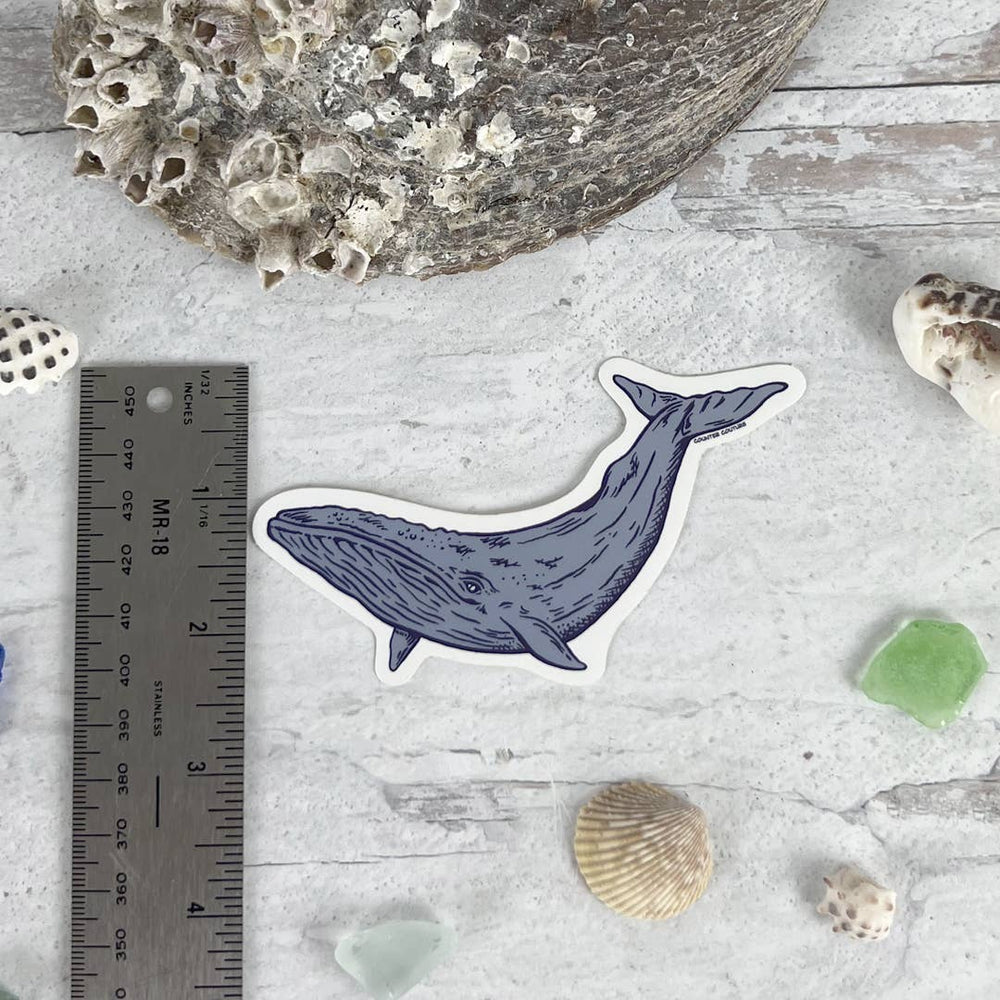 
                      
                        Blue Whale Sticker
                      
                    