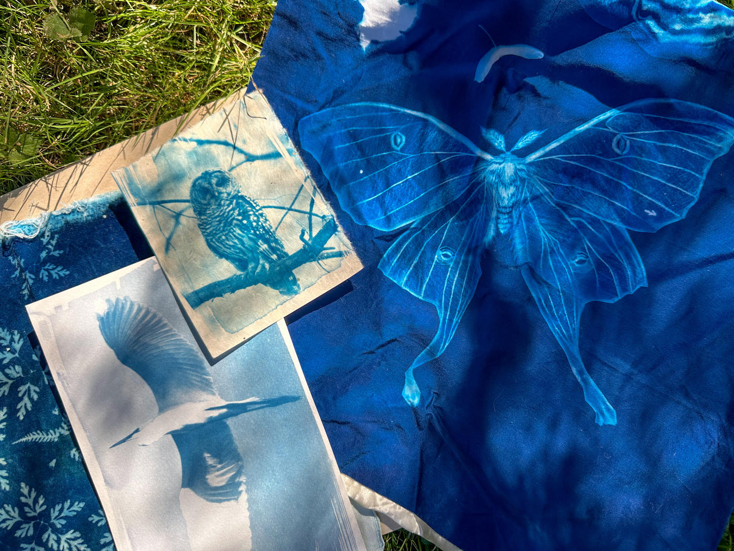 Closer view of the butterfly design on fabric and the out photo on paper made blue at the cyanotype class at Wyldwood Creative in Renton