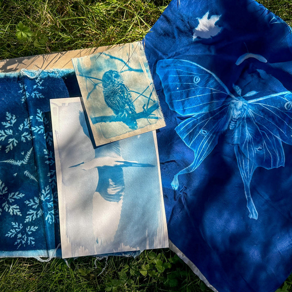 
                      
                        Cyanotypes
                      
                    