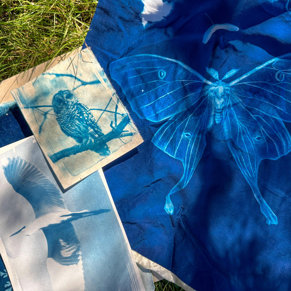 Cyanotypes