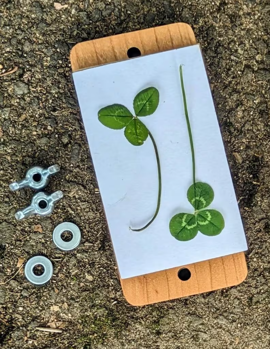 Flower pass with green leaves on it ready to be pressed - made at a crafting class at Wyldwood Creative in Renton